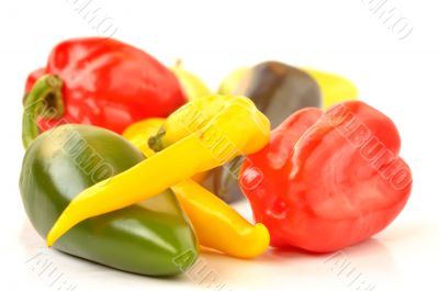 Multi-colored peppers on a white background