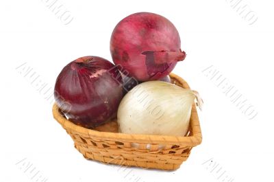 White and red onion on a white background