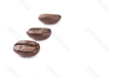 three coffee beans