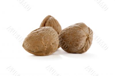 three whole walnuts 