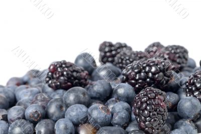pile of blueberries and black berries
