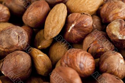 walnuts and almonds