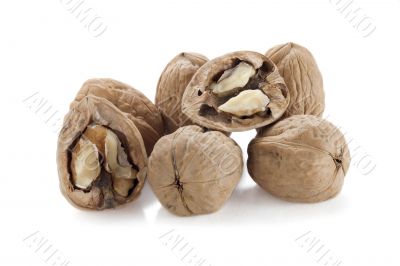 walnuts close up
