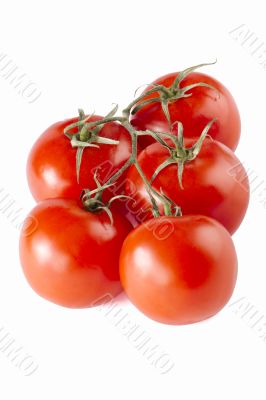 red tomatoes