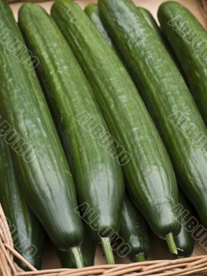 Cucumbers-basket