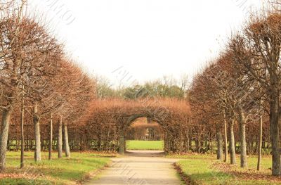 Decorative trellis