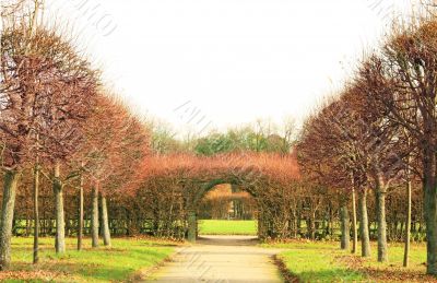 Decorative trellis