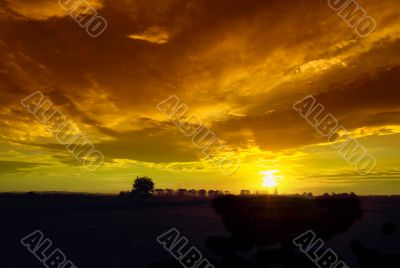 Sunset