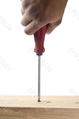 screw and screwdriver in wood