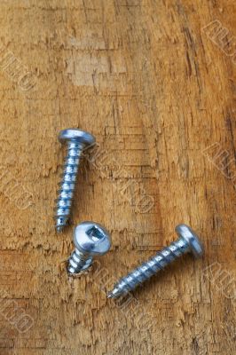 screws in wood