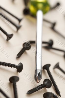 screw driver and screw