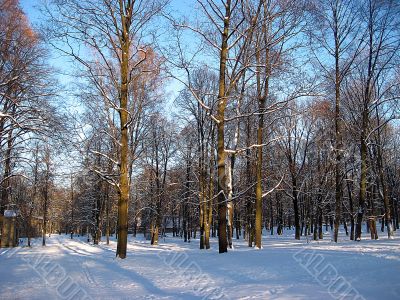 Latvia in winter