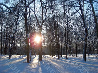 The sundown in winter