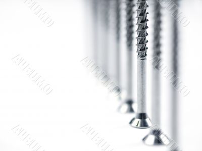 Close Up Screws Standing