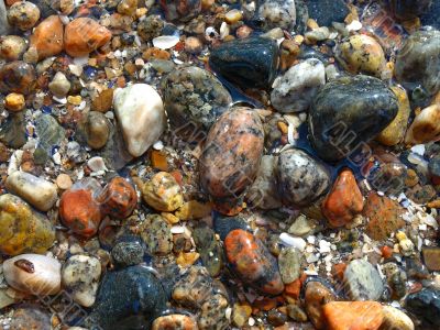 Colorful marine wet pebbles