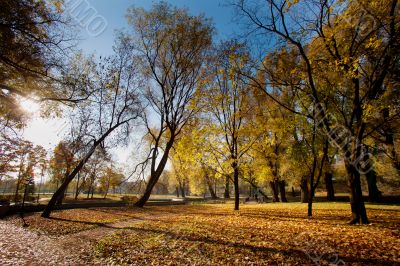 Autumn park