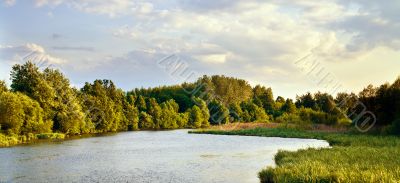 summer landscape