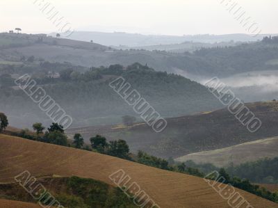 Italian Hillside