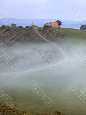 Foggy Tuscan Road