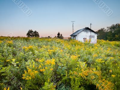 house in wild field