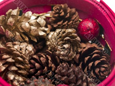 Mixed Pinecones