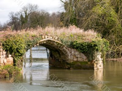 bridge on the water