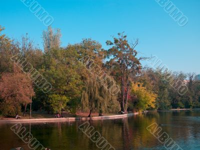 view of a tranquil lake