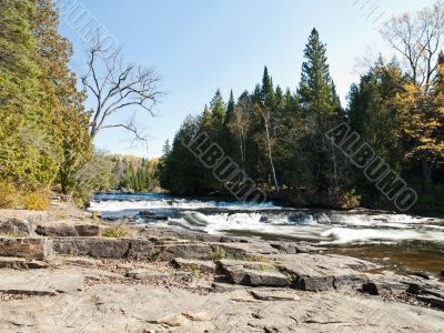 view of trees and river