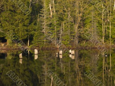 reflection on lake
