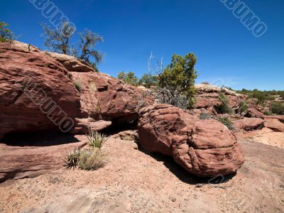 red rocks with blue sky in the background