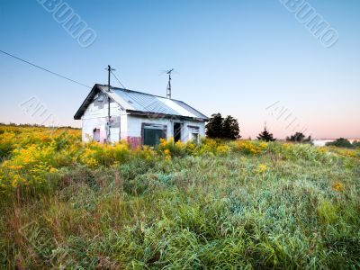 Abandoned house in field