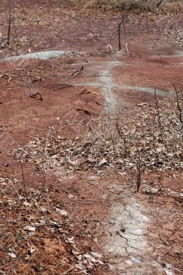 Cracked River Bed