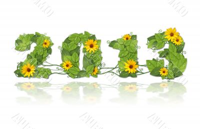 New year 2013. Date lined green leaves and flower.