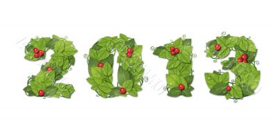 New year 2013. Date lined green leaves with red berry. Isolated