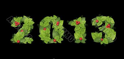 New year 2013. Date lined green leaves with red berry. Isolated