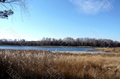 A simple autumn daytime landscape.