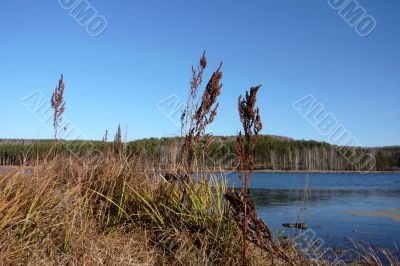 A simple autumn water landscape.