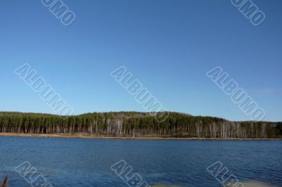 Lake, pine forests and clear skies.