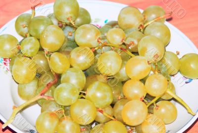 Grapes on the table 
