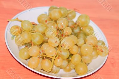 Grapes on the table 