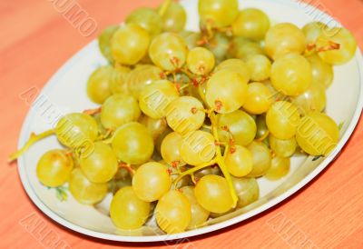 Grapes on the table