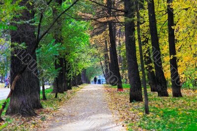 Autumn in the Park 