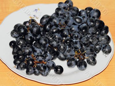 Grapes on the table