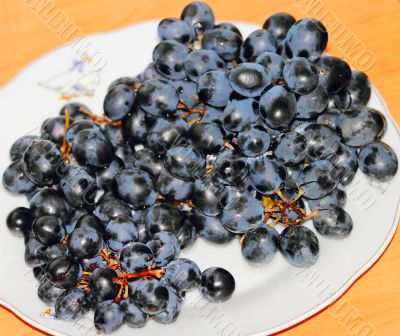 Grapes on the table