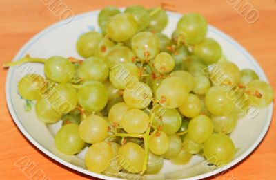Grapes on the table