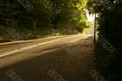 Picturesque autumnal forest on a morning with the sunlight falling on rural lane.