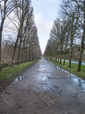 wet path