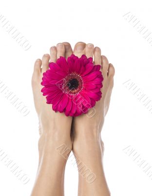 pink flower on feet