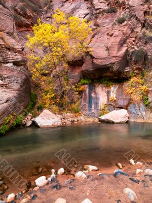 rocky stream