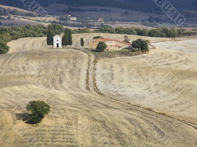 landscape road of tuscany